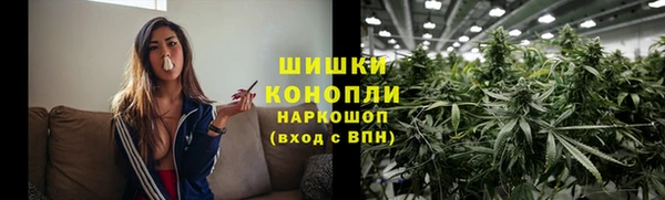 спиды Лиски