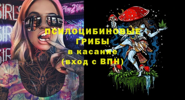 спиды Лиски