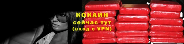 спиды Лиски