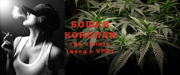 спиды Лиски